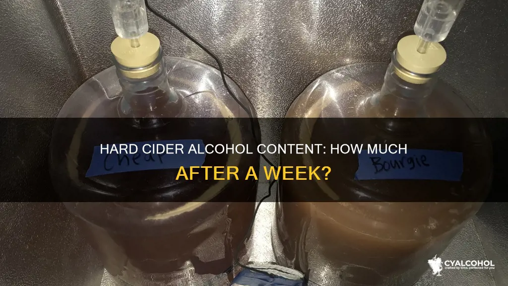 does hard apple cider have alcohol a week into fermentation