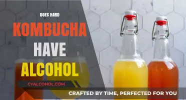 Exploring the Buzz: Does Hard Kombucha Contain Alcohol?