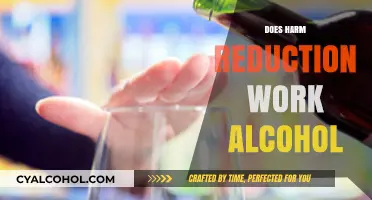 Exploring Harm Reduction Strategies for Alcohol Use: Effectiveness and Insights
