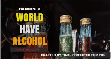 Harry Potter World's Alcoholic Offerings: What to Expect at The Wizarding World