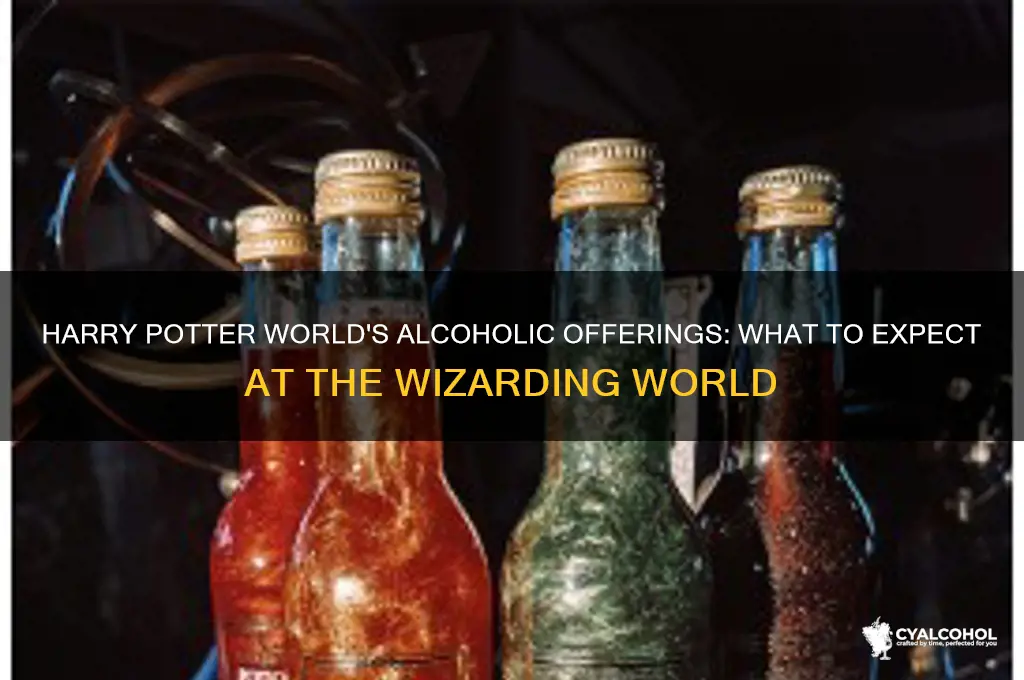 does harry potter world have alcohol