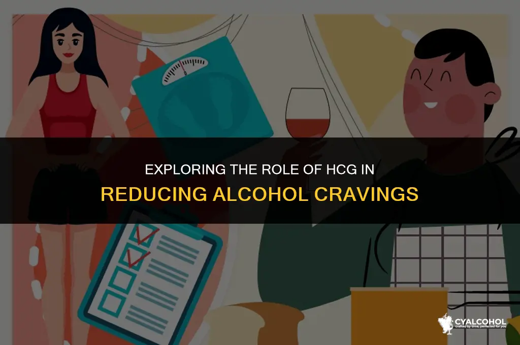 does hcg curb alcohol cravings