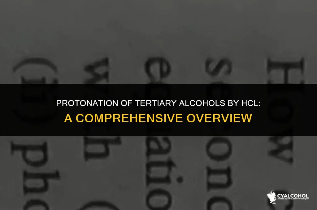 does hcl protonate tertiary alcohol