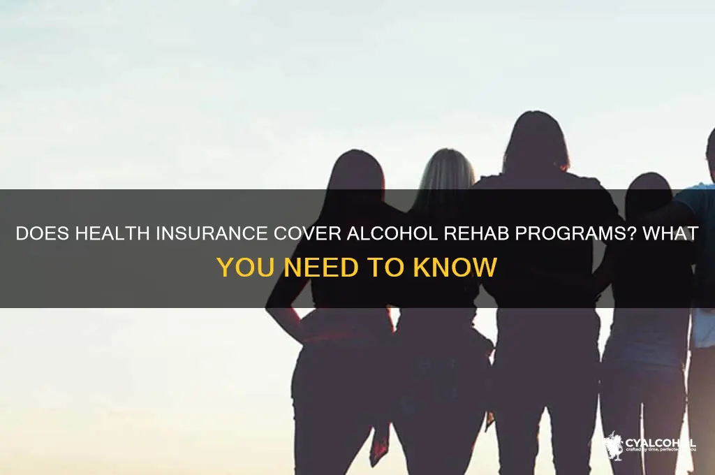 does health insurance cover alcohol programs