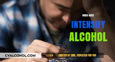Heat and Alcohol: Does Temperature Enhance Intoxication Effects?