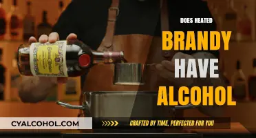 Sipping Warmth: Does Heated Brandy Retain Its Alcohol Content?