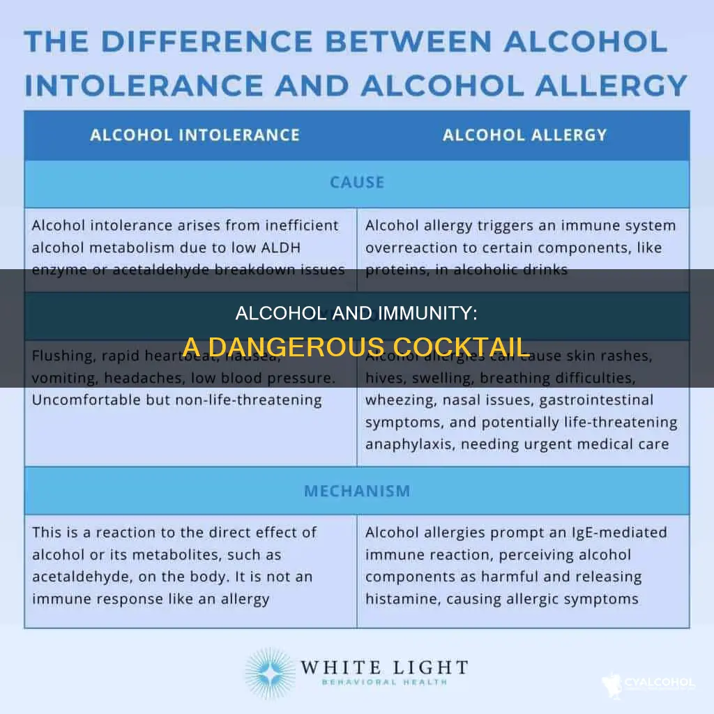 does heavy consumption of alcohol hurt your immune system