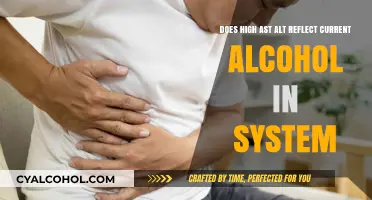Elevated AST and ALT: Alcohol's Lasting Liver Impact