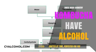 Does High Country Kombucha Contain Alcohol? Uncovering the Truth