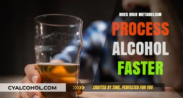 High Metabolism and Alcohol: Does It Speed Up Processing?
