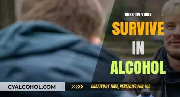 Can HIV Survive in Alcohol? Debunking Myths and Facts