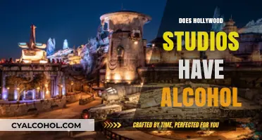 Does Hollywood Studios Serve Alcohol? Exploring Disney's Drink Options