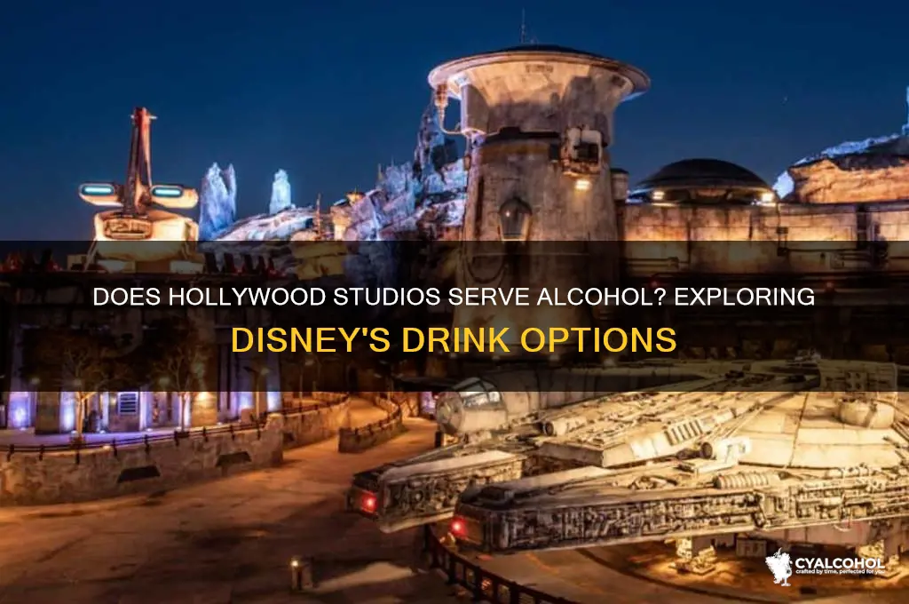 does hollywood studios have alcohol