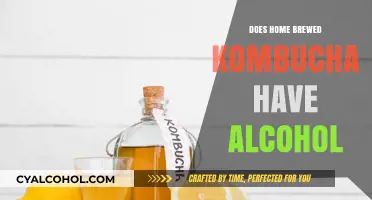 Home Brewed Kombucha: Uncovering the Truth About Alcohol Content