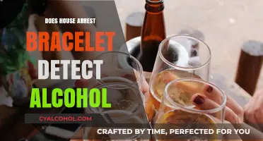 Can House Arrest Bracelets Detect Alcohol Consumption? Facts Revealed