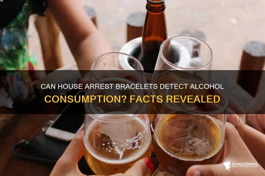 does house arrest bracelet detect alcohol