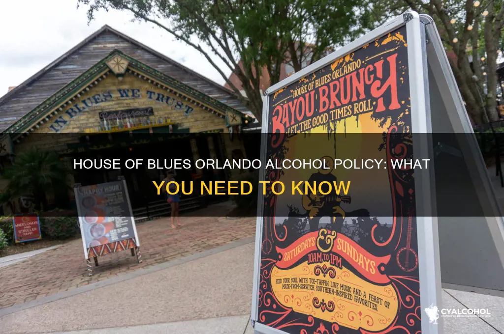 House Of Blues Orlando Alcohol Policy: What You Need To Know | CyAlcohol