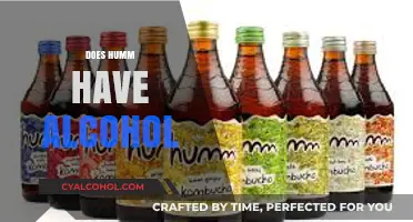 Does Humm Kombucha Contain Alcohol? Uncovering the Truth About Its Ingredients