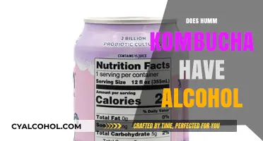 Does Humm Kombucha Contain Alcohol? Uncovering the Truth About Fermentation