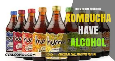 Does Humm Probiotic Kombucha Contain Alcohol? Facts Revealed