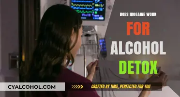 Ibogaine for Alcohol Detox: Effectiveness, Risks, and What to Expect
