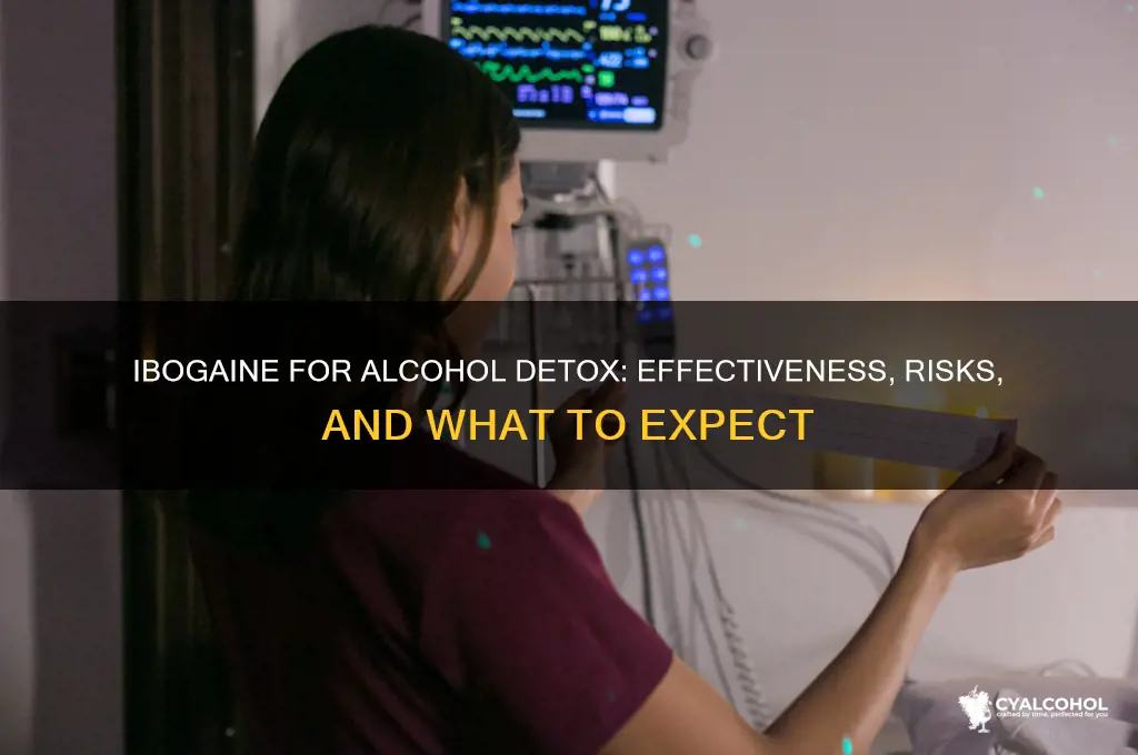 does ibogaine work for alcohol detox