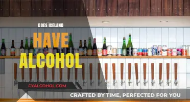 Exploring Iceland's Alcohol Culture: Availability, Laws, and Popular Drinks