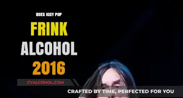 Iggy Pop's Alcohol Habits: The Truth About His 2016 Lifestyle