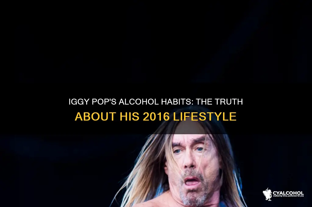 does iggy pop frink alcohol 2016