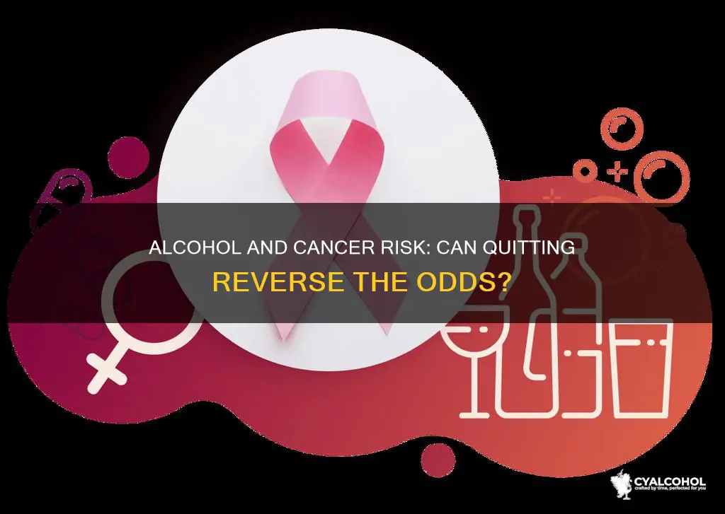 does increased cancer risk from alcohol decrease if i quit