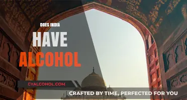 Exploring India's Alcohol Culture: Availability, Consumption, and Regulations