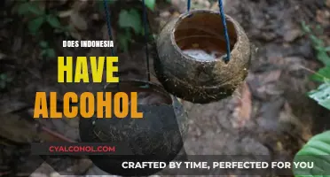 Exploring Indonesia's Alcohol Scene: Availability, Culture, and Local Beverages