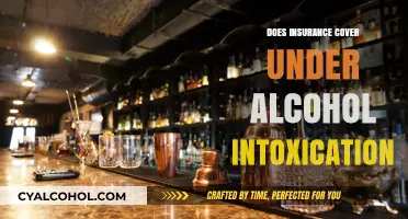 Insurance Coverage for Alcohol-Related Incidents: What You Need to Know