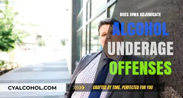Iowa's Adjudication Process for Underage Alcohol Offenses: What You Need to Know