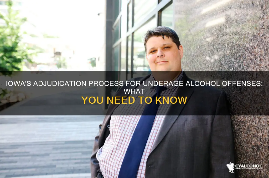 does iowa adjunicate alcohol underage offenses