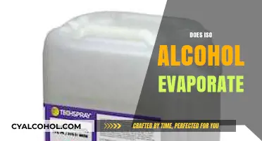 Does Isopropyl Alcohol Evaporate Quickly? Facts and Insights Revealed