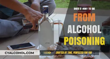 Alcohol Poisoning's Painful Reality: Understanding the Agony of a Fatal Overdose
