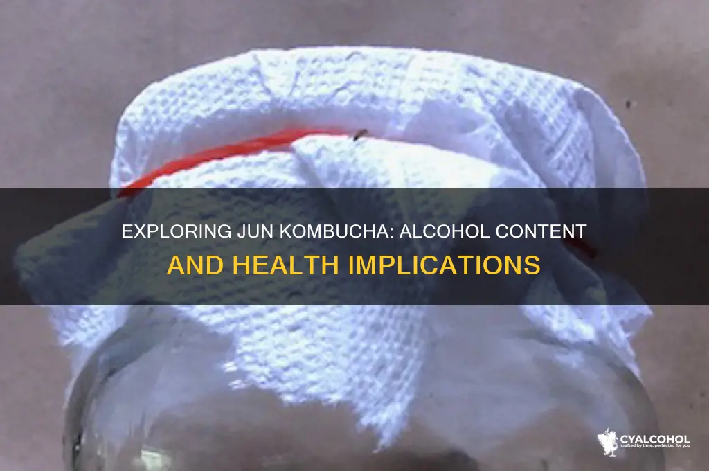 does jun have alcohol