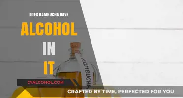 Does Kombucha Contain Alcohol? Unveiling the Fermented Truth