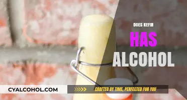 Kefir and Alcohol: Understanding the Fermentation Process and Content