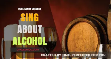 Kenny Chesney's Music: Exploring Themes of Alcohol and Celebration