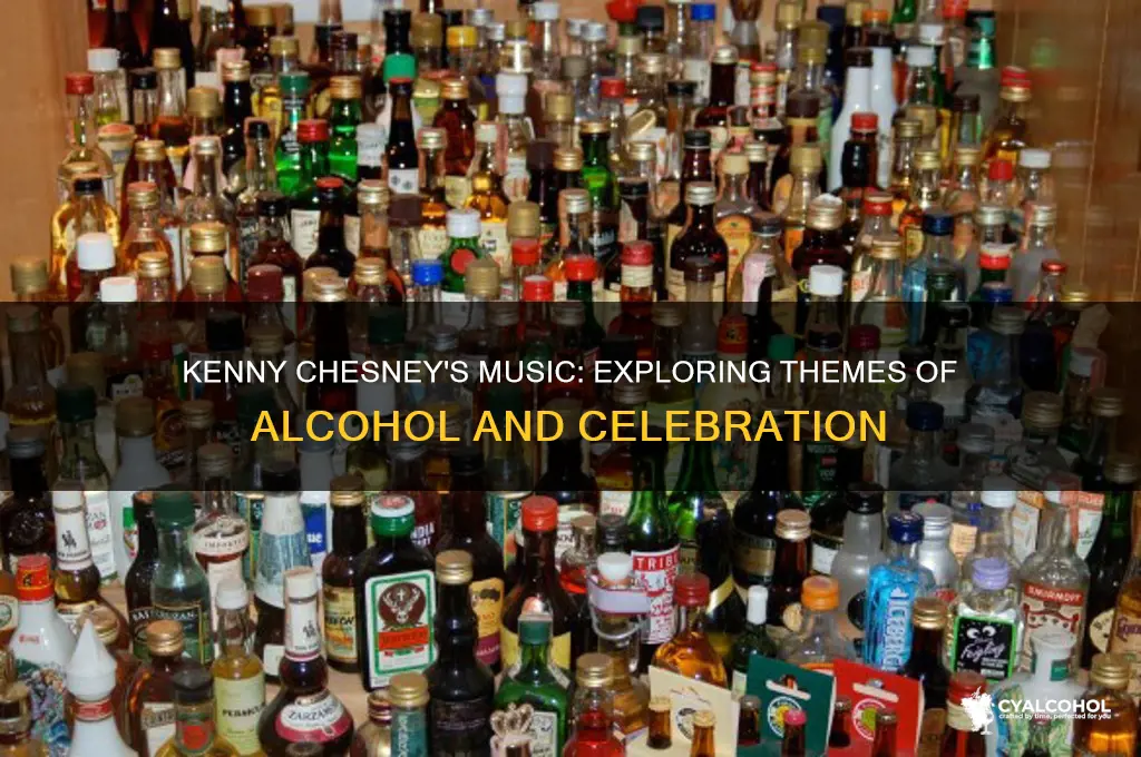 does kenny chesney sing about alcohol