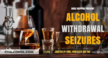 Can Keppra Effectively Prevent Seizures During Alcohol Withdrawal?