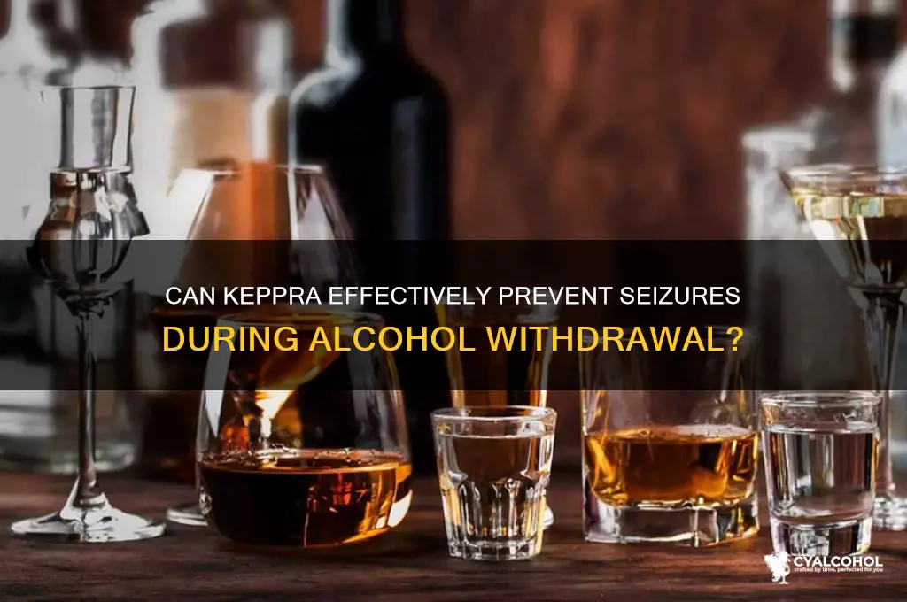 does keppra prevent alcohol withdrawal seizures