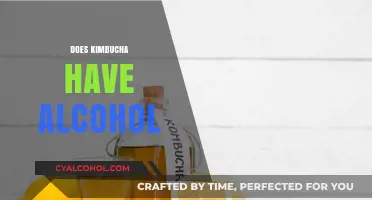 Does Kombucha Contain Alcohol? Uncovering the Truth About Your Fermented Drink