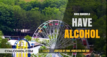 Does Knoebels Serve Alcohol? A Guide to Park Policies and Options