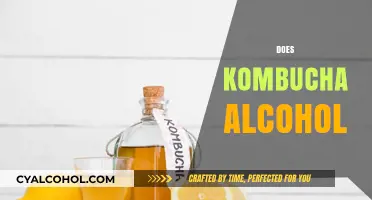 Does Kombucha Contain Alcohol? Unveiling the Fermented Truth
