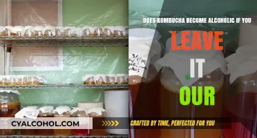 Kombucha: The Longer It Brews, the More Alcoholic It Gets