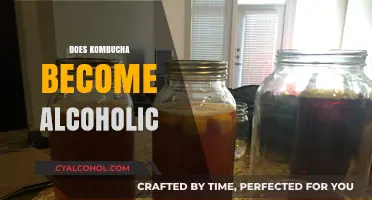 Can Kombucha Turn Alcoholic? Understanding Fermentation and Alcohol Content