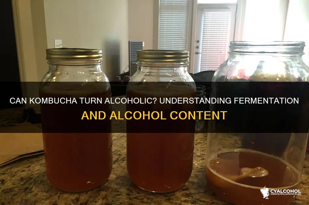 does kombucha become alcoholic